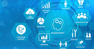 Best IT solutions for startups in Singapore - Best 2025 Best IT solutions for startups in Singapore